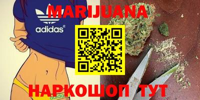 прущие грибы Лесосибирск
