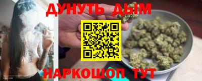 прущие грибы Лесосибирск